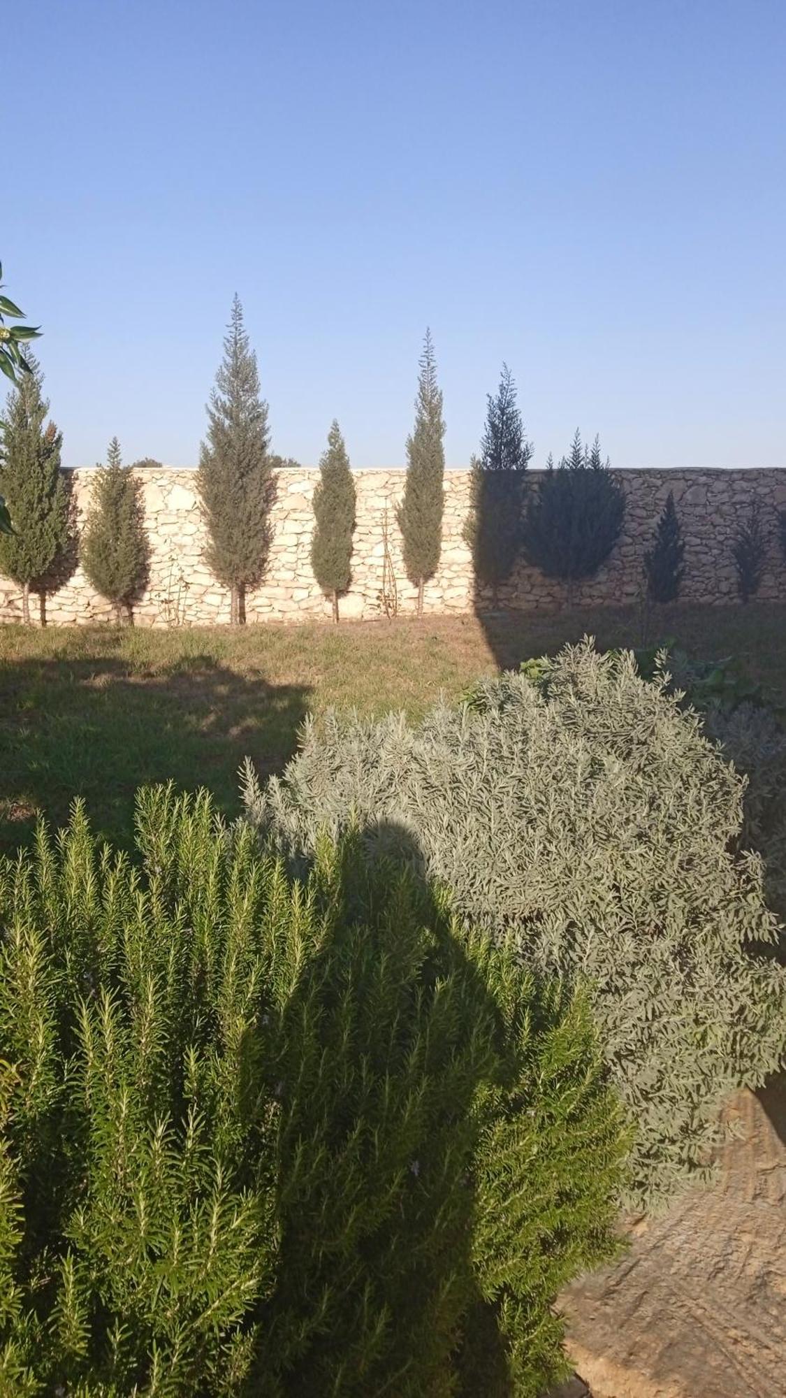 Villa Rabia Sidi Kaouki Eksteriør billede